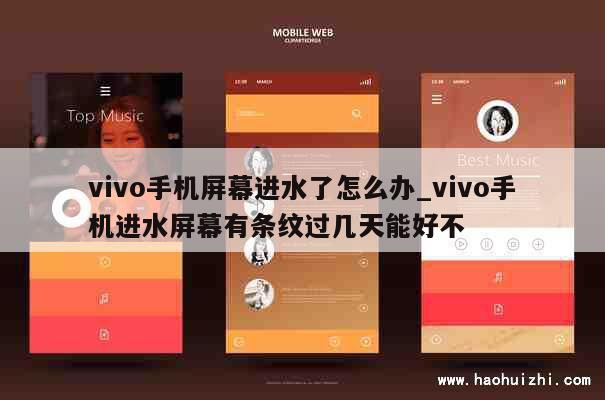 vivo手机屏幕进水了怎么办_vivo手机进水屏幕有条纹过几天能好不