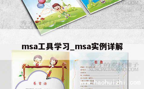 msa工具学习_msa实例详解