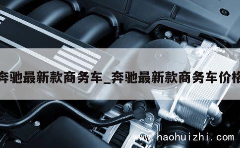 奔驰最新款商务车_奔驰最新款商务车价格