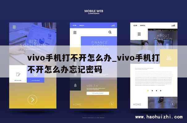 vivo手机打不开怎么办_vivo手机打不开怎么办忘记密码