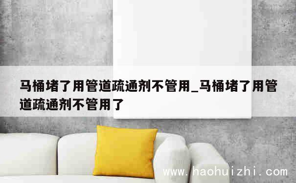 马桶堵了用管道疏通剂不管用_马桶堵了用管道疏通剂不管用了