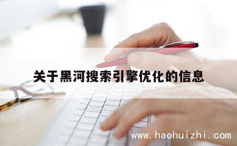 关于黑河搜索引擎优化的信息