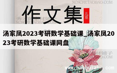 汤家凤2023考研数学基础课_汤家凤2023考研数学基础课网盘