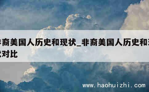 非裔美国人历史和现状_非裔美国人历史和现状对比 第1张