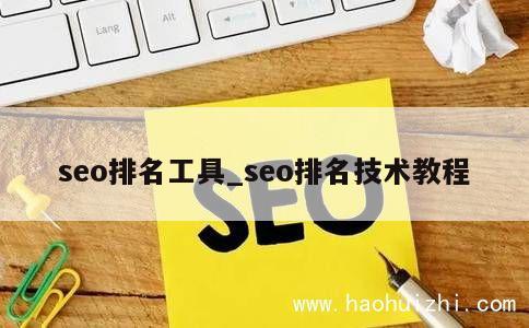 seo排名工具_seo排名技术教程 第1张