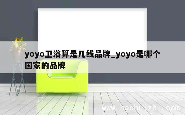 yoyo卫浴算是几线品牌_yoyo是哪个国家的品牌 第1张