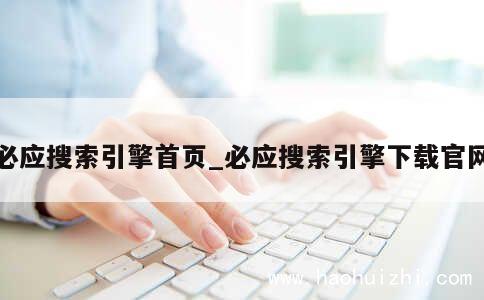 必应搜索引擎首页_必应搜索引擎下载官网 第1张