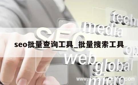 seo批量查询工具_批量搜索工具 第1张