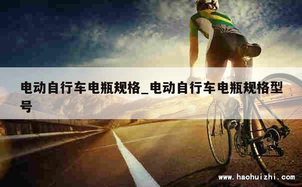 电动自行车电瓶规格_电动自行车电瓶规格型号